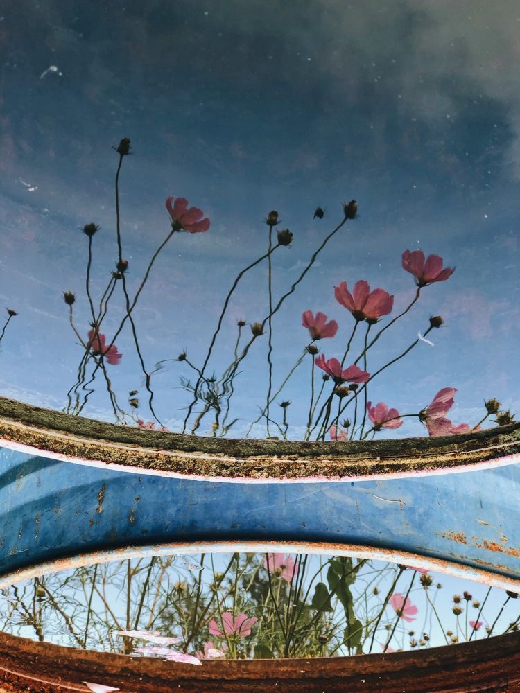 Photograph by Богомолова Александра