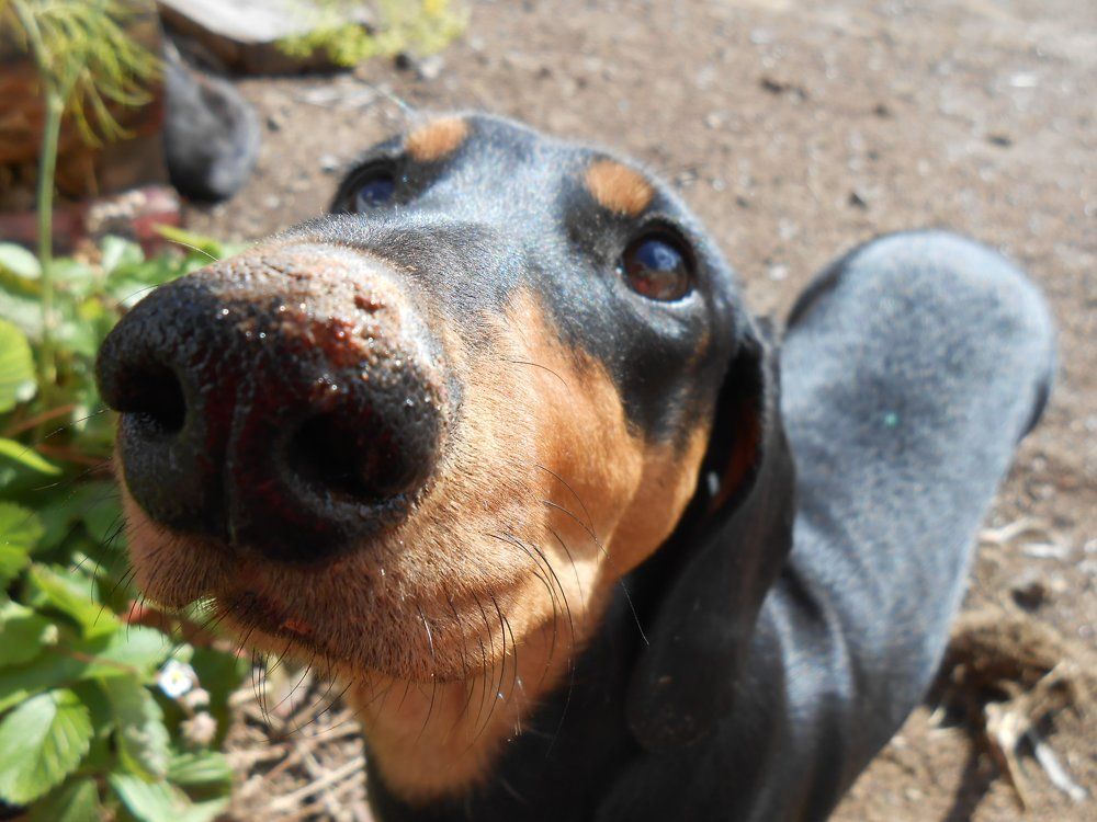 Photograph by Алёна Пестерева