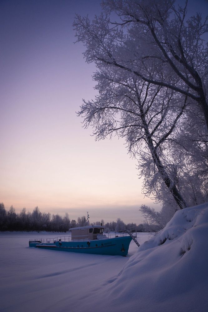 Фиолетовое утро