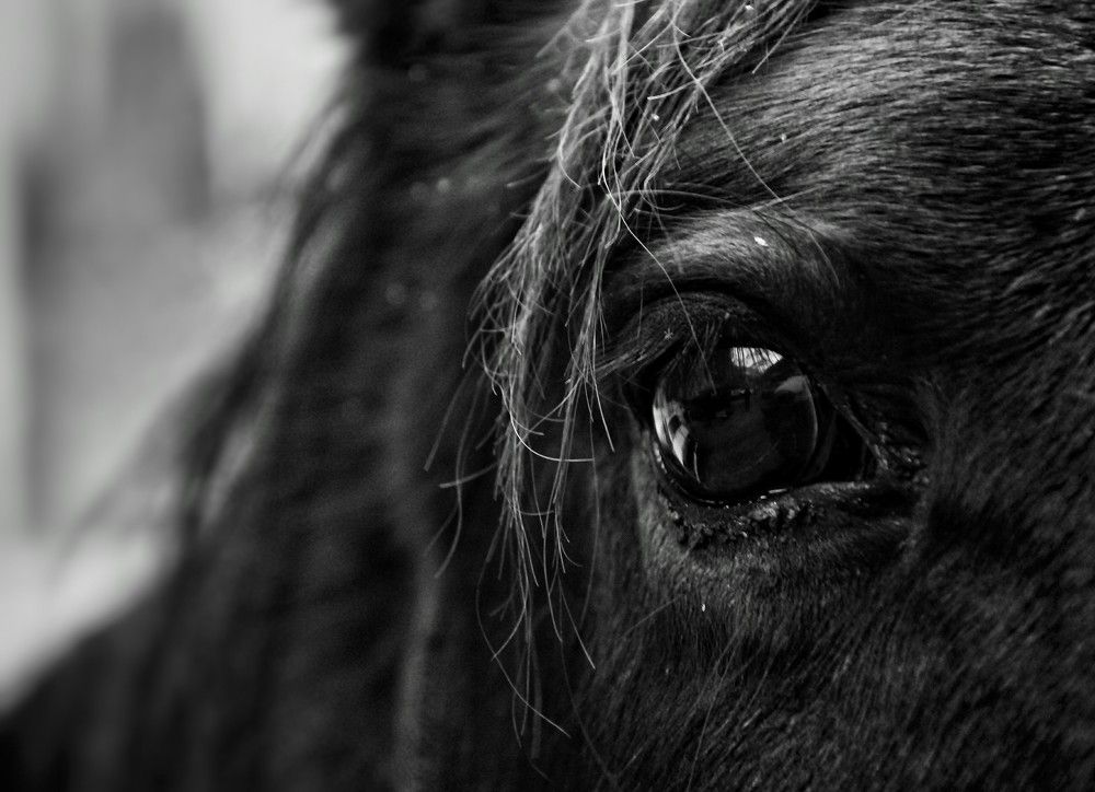 зеркало души