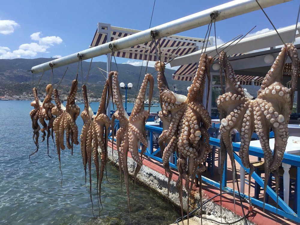 Доплавались