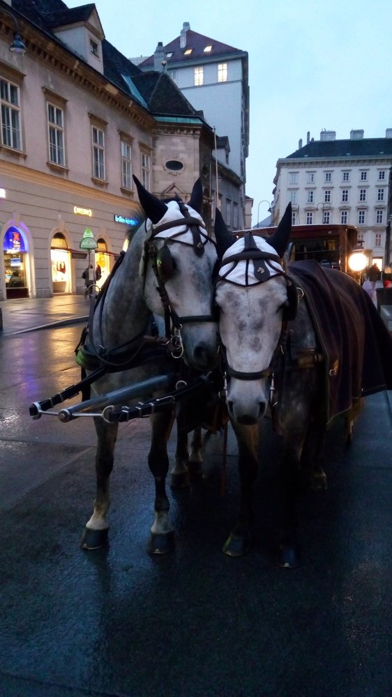 Вместе теплее.