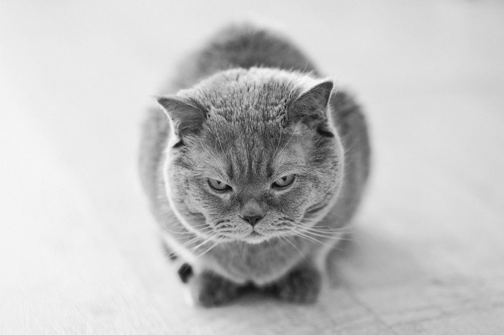 Мы вам рады