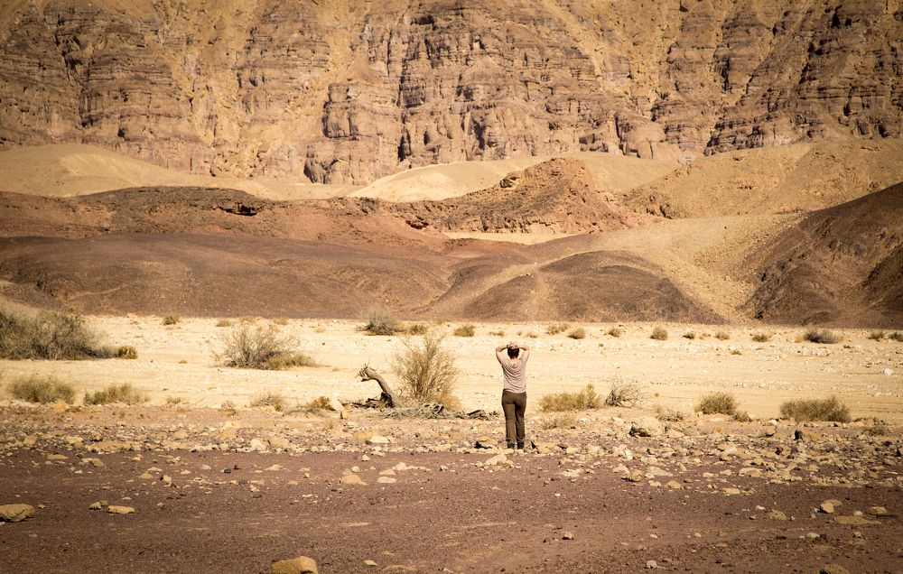 50 оттенков охры