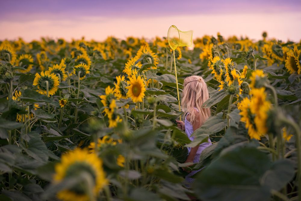 В подсолнухах