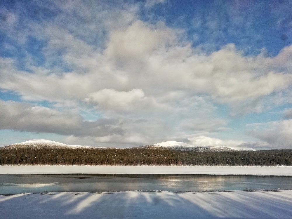 Лицом на север.