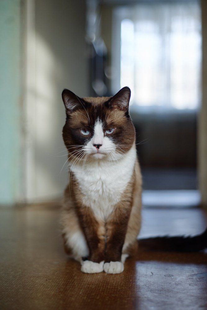 Photograph by Сергей Бесконечный