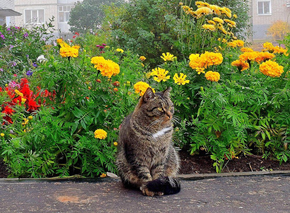 Вам тоже осенью бывает грустно