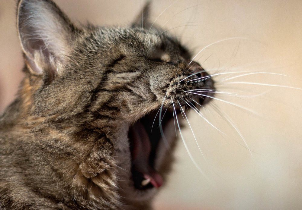 Photograph by Александр Волков