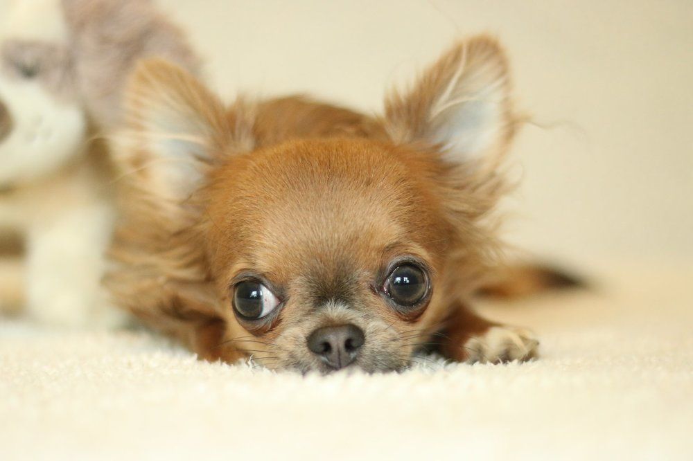 Photograph by Александр Волков