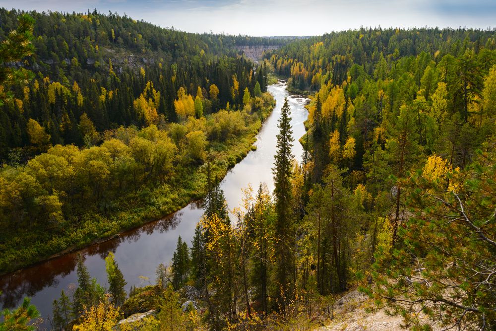 Золото Сотки