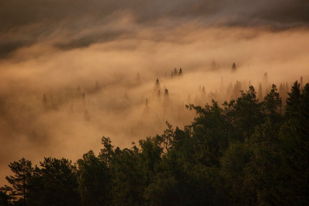 Туманные реки