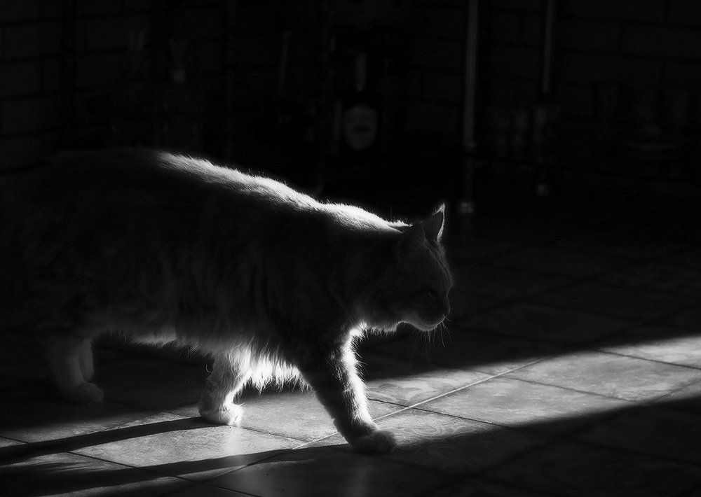 сам по себе..