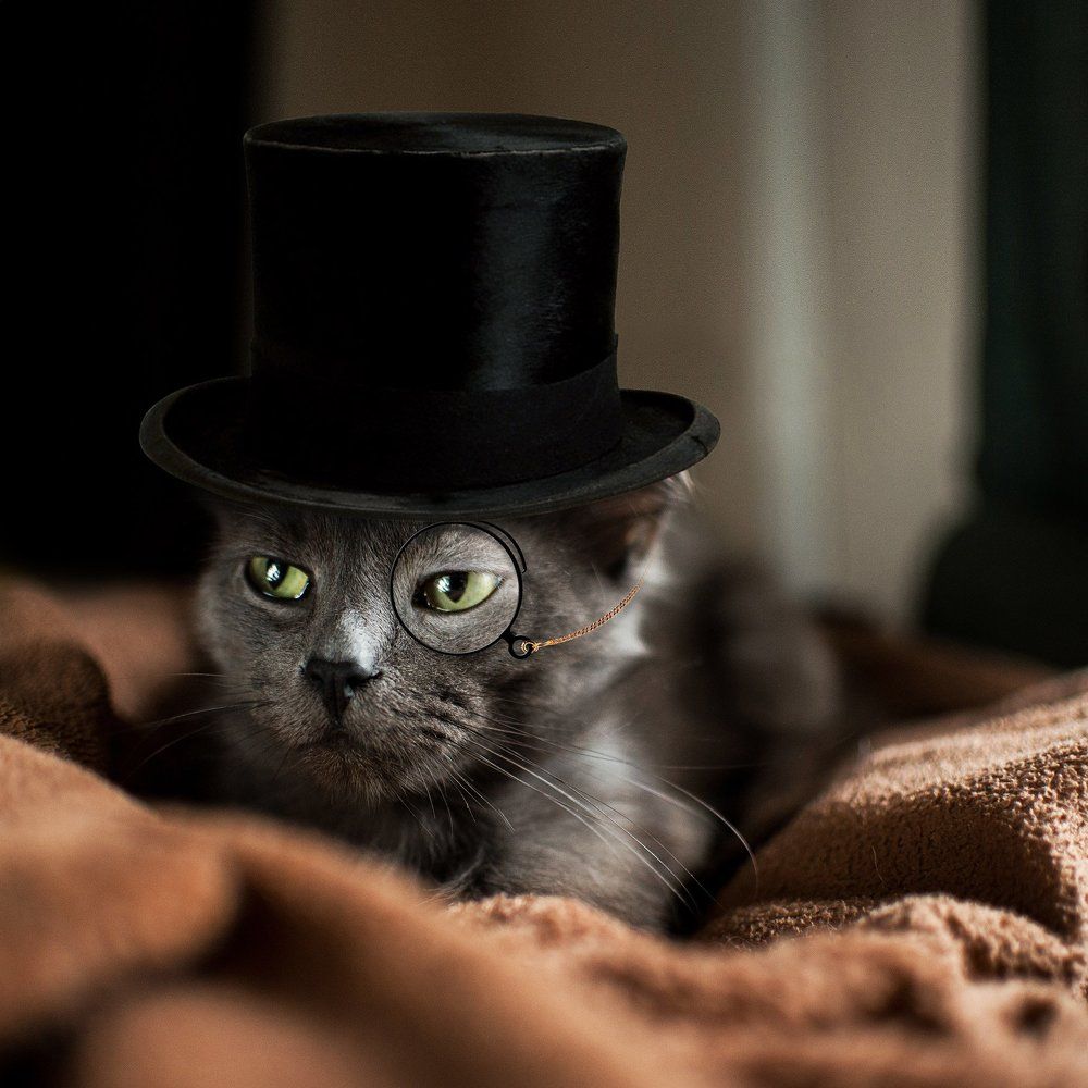 Мистер Холмс