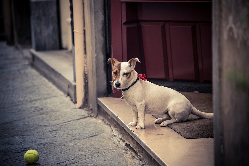 Утренняя лень