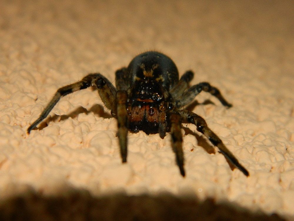 Photograph by Виктор