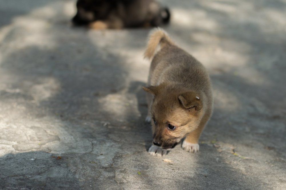 "я не виноват"