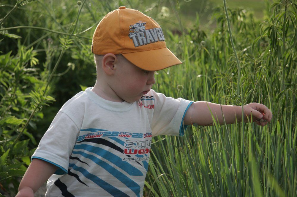 Photograph by Дмитрий