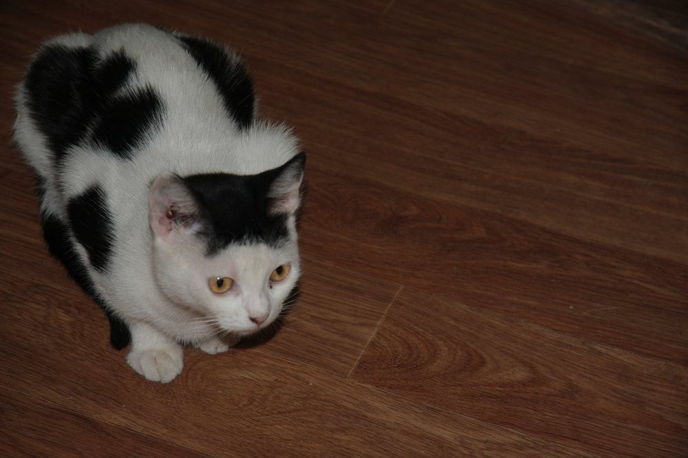 Photograph by Дмитрий