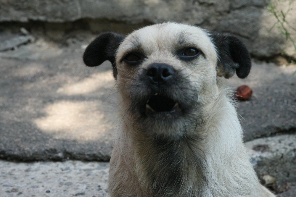 Photograph by Дмитрий