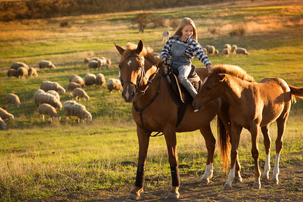 Знакомство