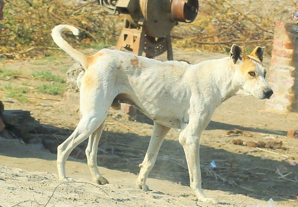 Photograph by Sarmad Sindhi