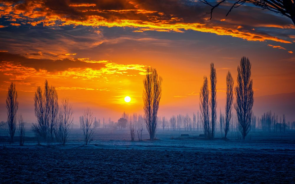 Sunrise Over the Plain