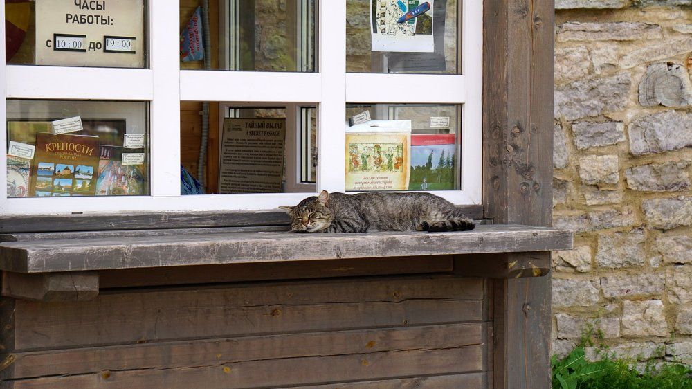 Хранитель печати