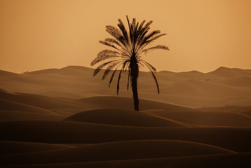 desert of Darak,iran