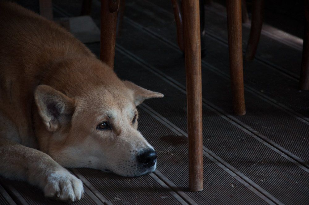 Photograph by Александр Иванов