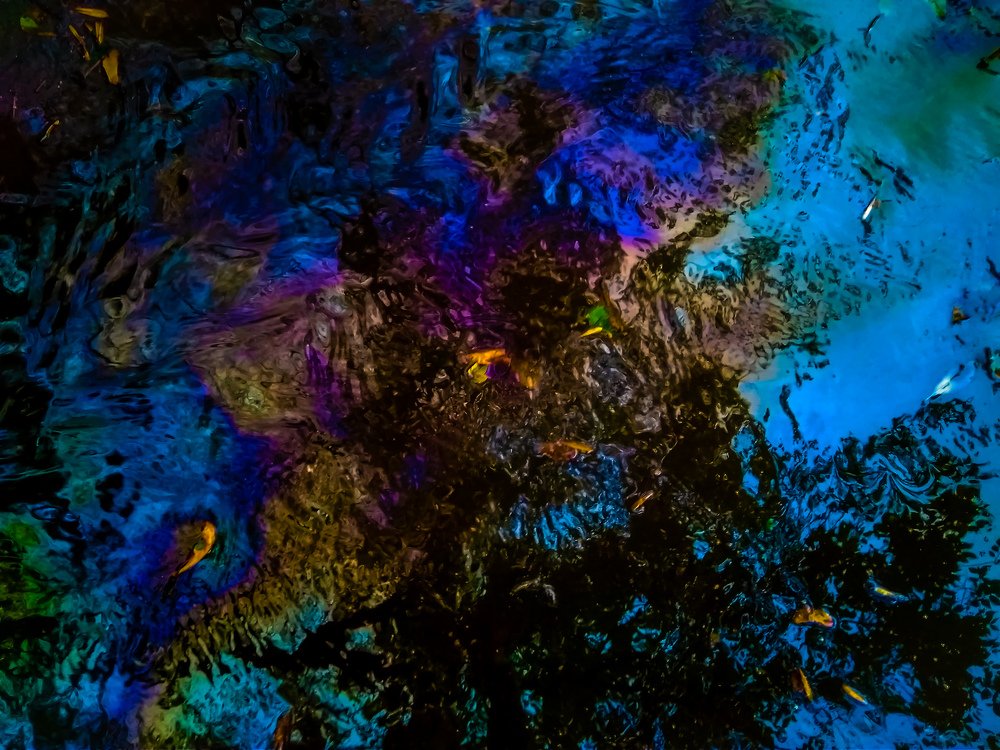 Абстракция в луже.