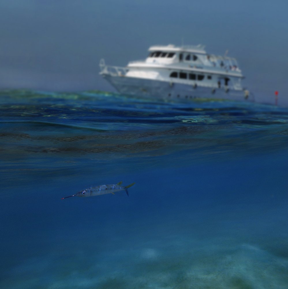 Попутным курсом. 1.