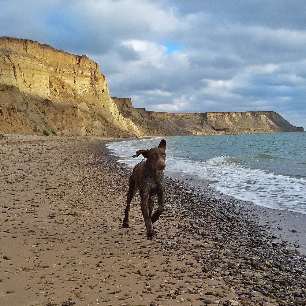 Летящие уши