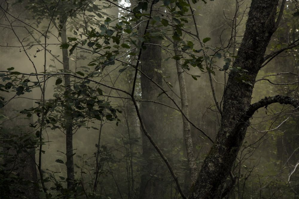 Photograph by Волоцков Александр