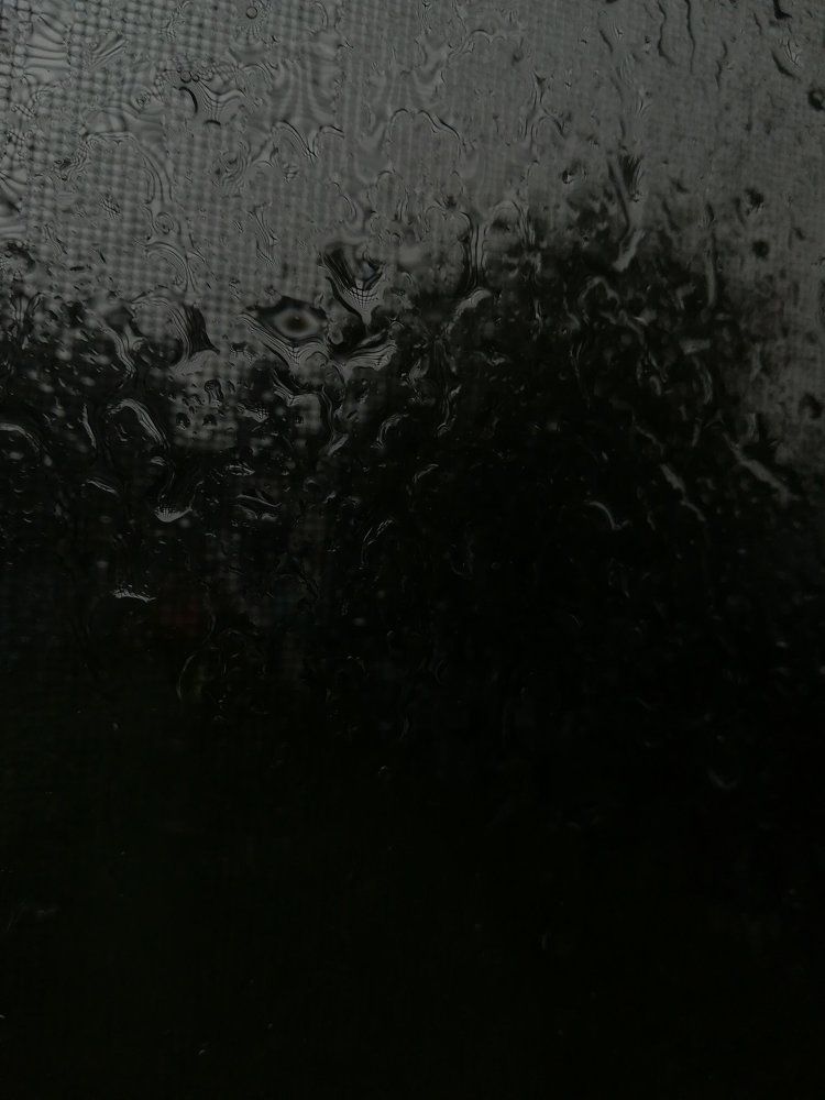 Photograph by Ёлочкина Карина