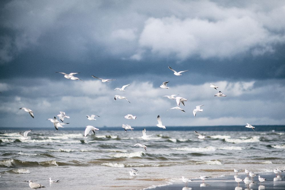 Осень на Финском заливе