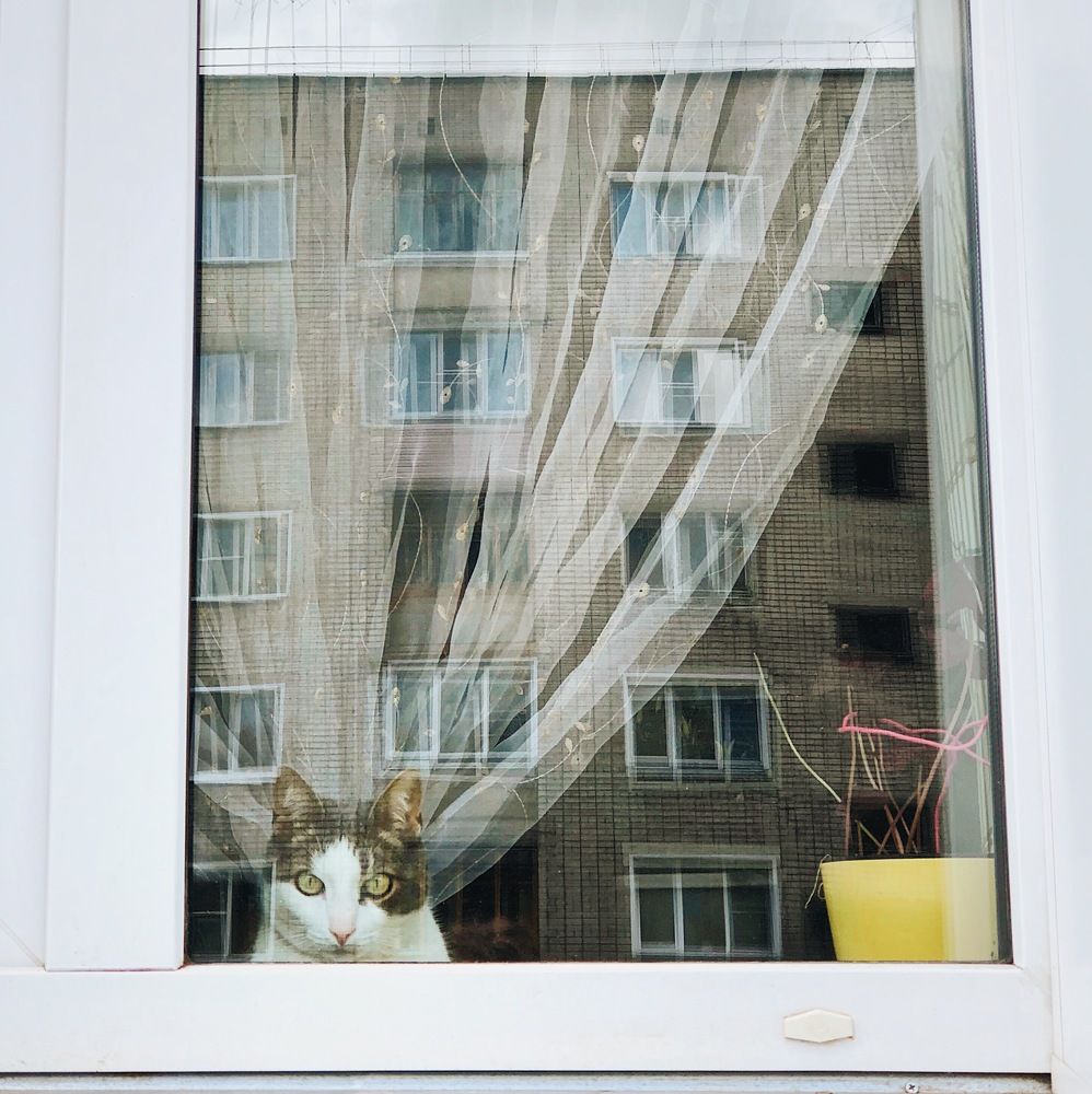 Photograph by Богомолова Александра