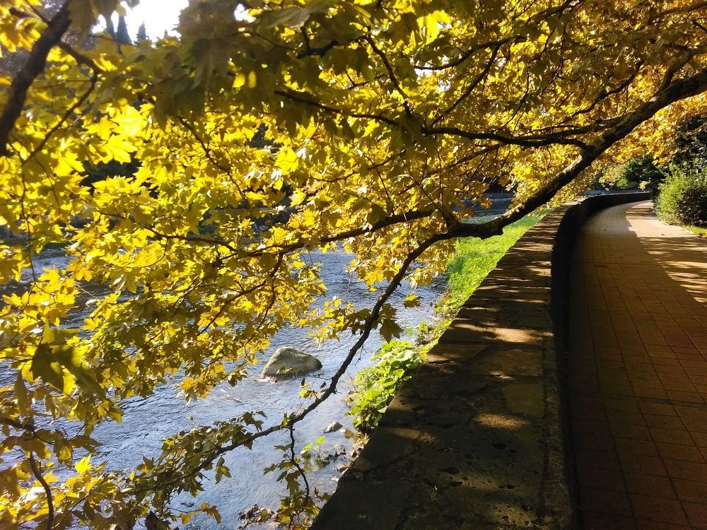 Наступление осени