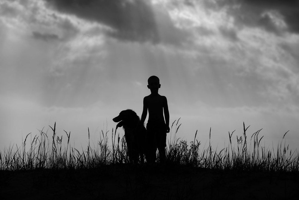 Photograph by Виктория Разина