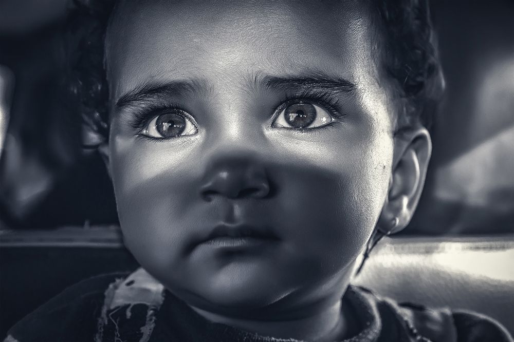 Photograph by mohamed wardany