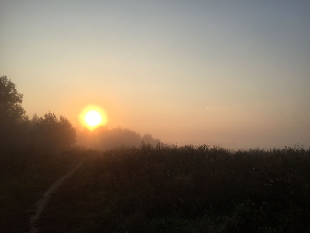 Доброе утро)