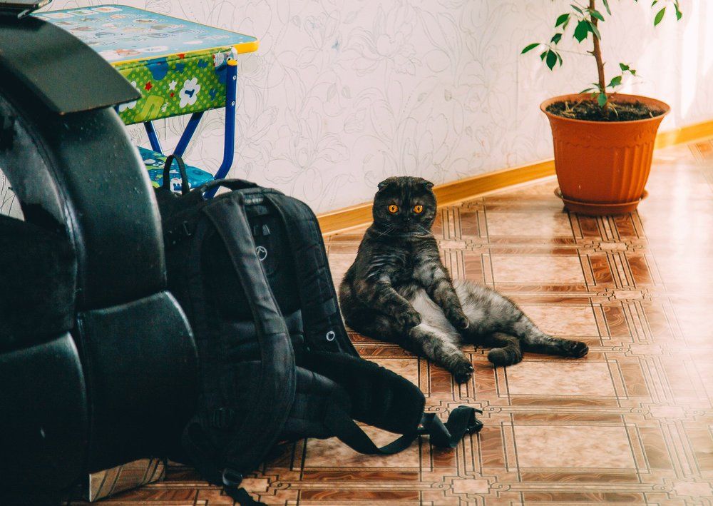 Photograph by Наталия Скрипка