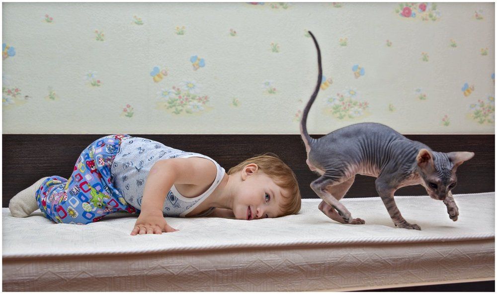 И что они там лижут?