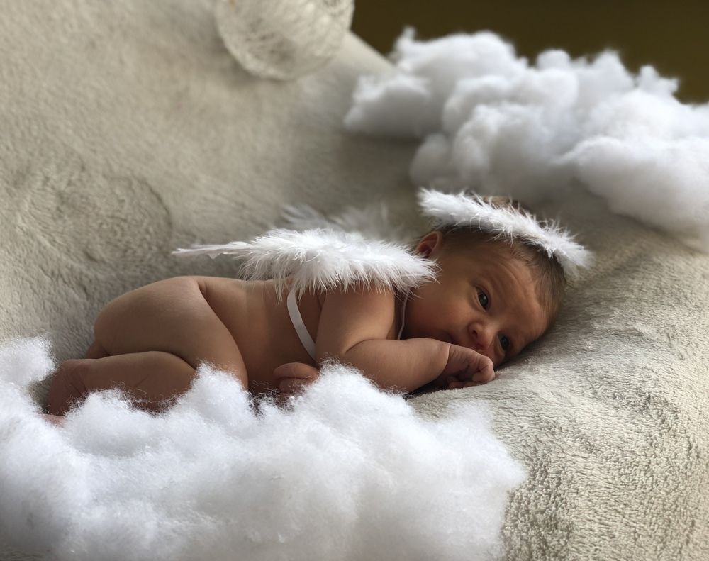 Мечтая о земле