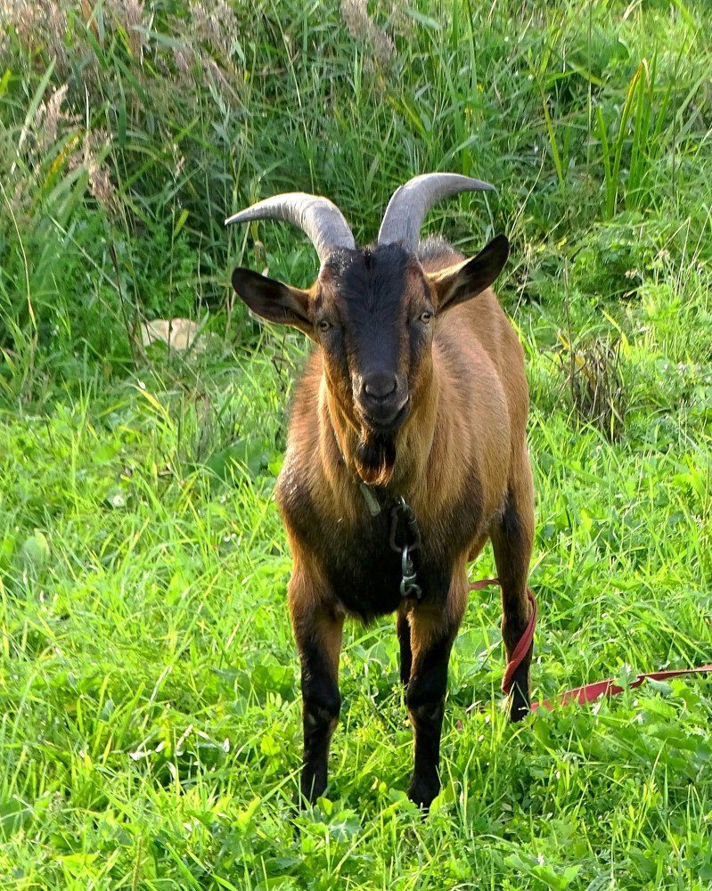 Красивый! Умный!