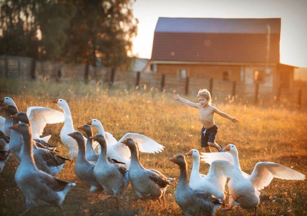 Фотография автора Наталия Комарова