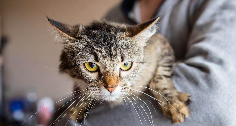 Photograph by Воробьёв Евгений