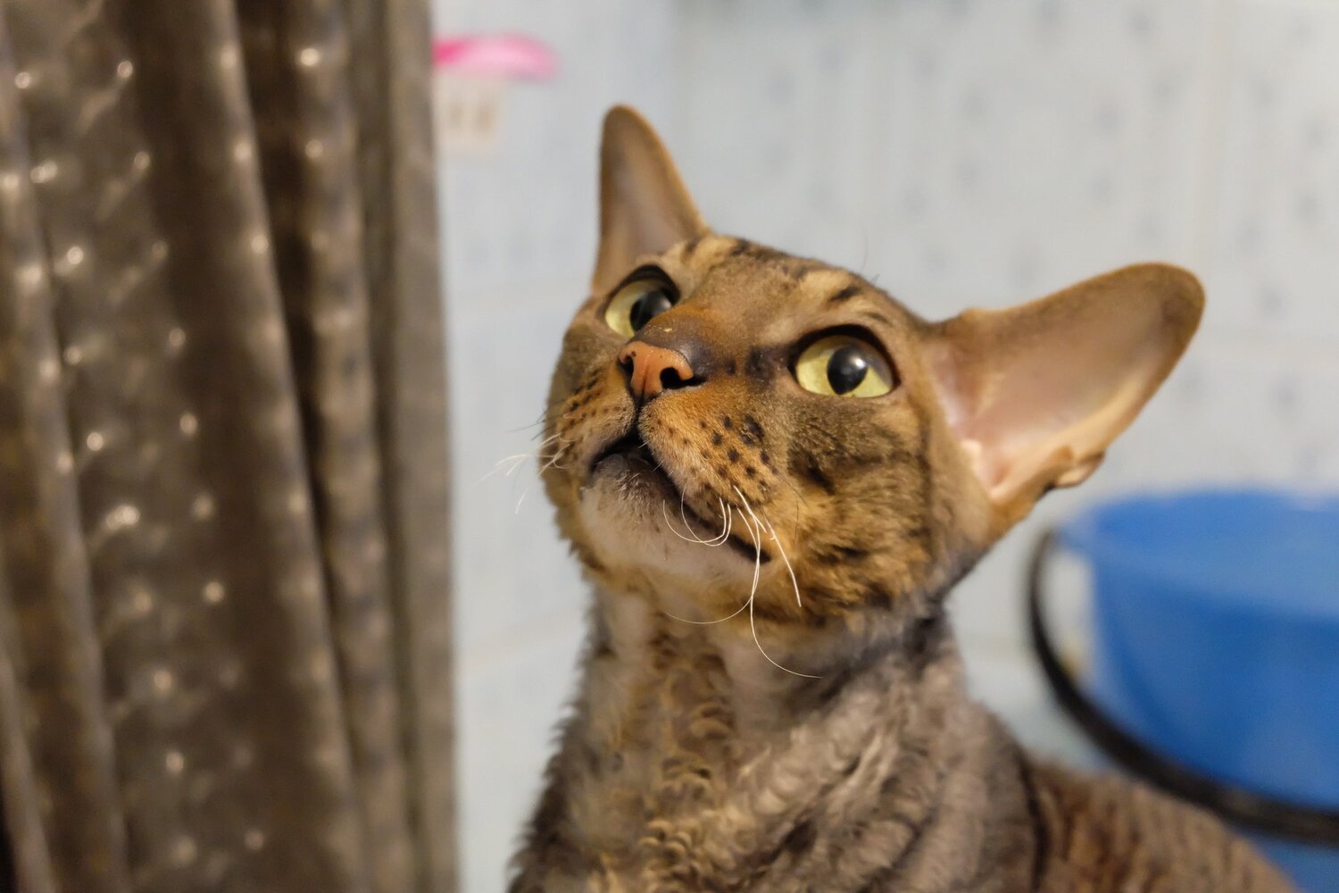 Photo #2570689