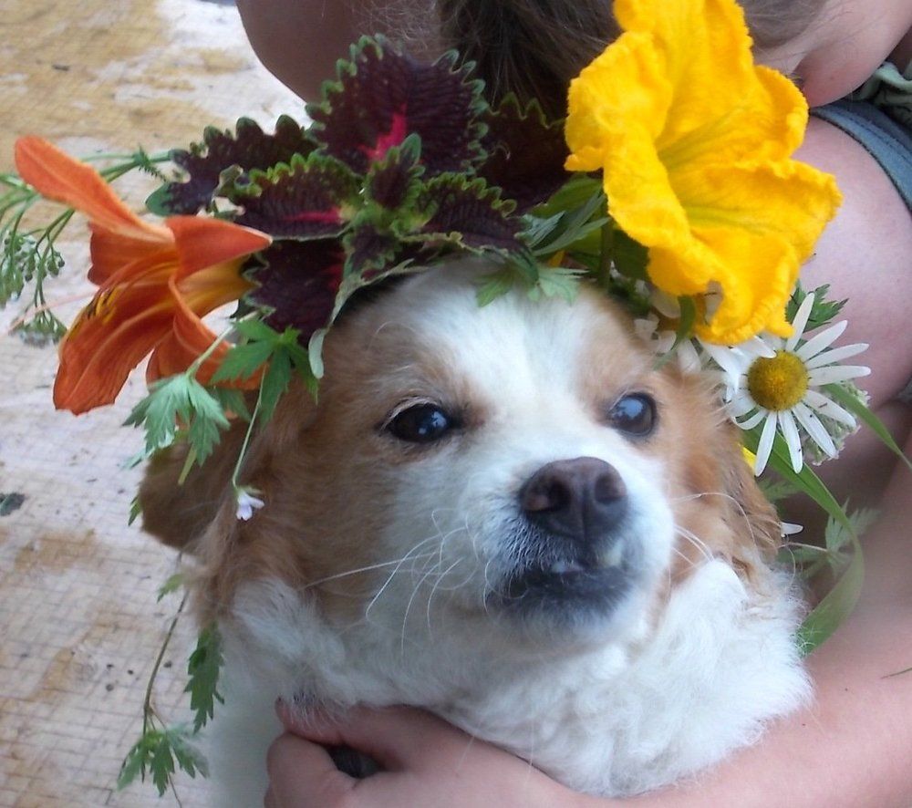 ... и красавица тож!