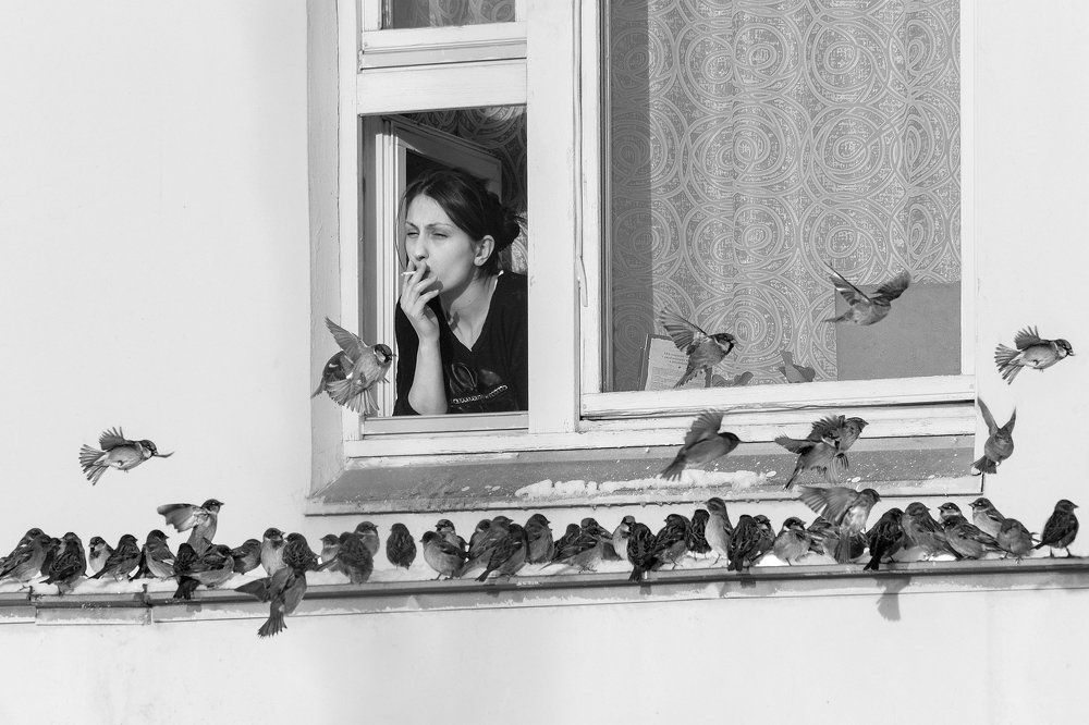 Ах, эта женщина в окне..